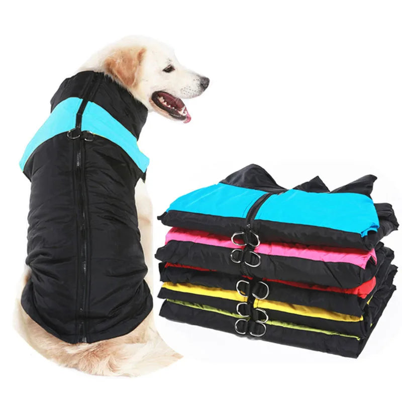 Manteau Imperméable pour Chien - Coupe-Vent Réfléchissant, du XS au XXL