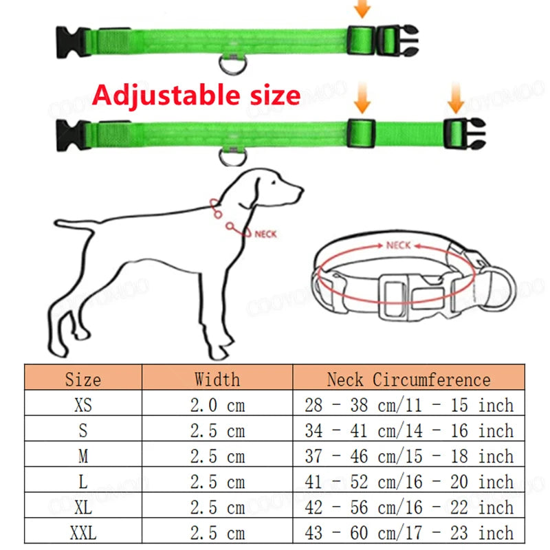 Collier LED Rechargeable USB pour Chien - Visible 500m, 3 Modes, Étanche