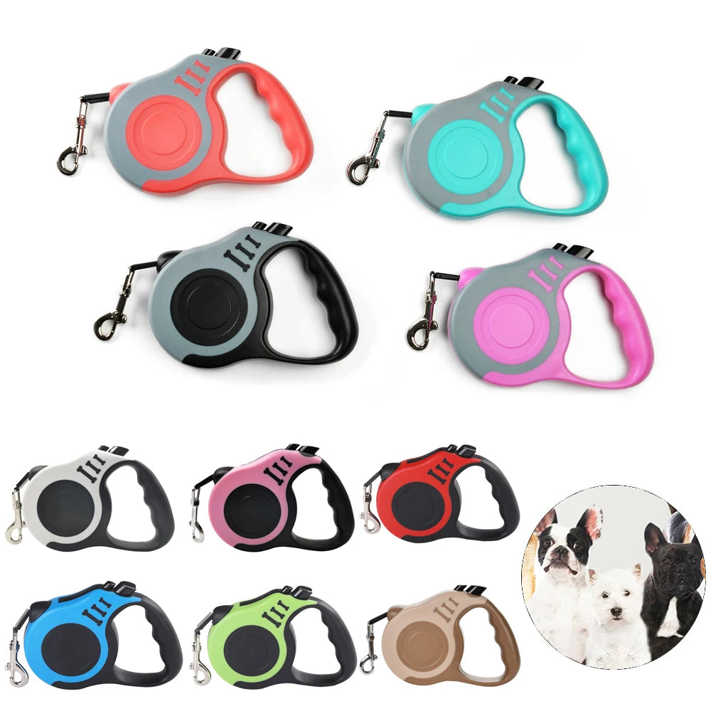 Laisse Rétractable 5m pour Chien - Nylon Solide, Frein Automatique, pour Petits et Grands Chiens