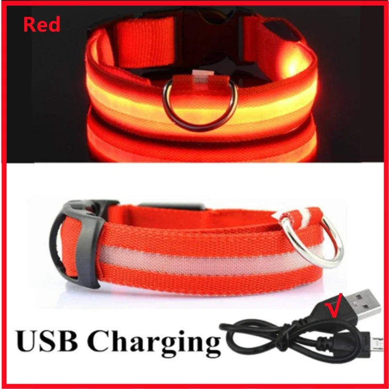 Collier LED Rechargeable USB pour Chien - Visible 500m, 3 Modes, Étanche