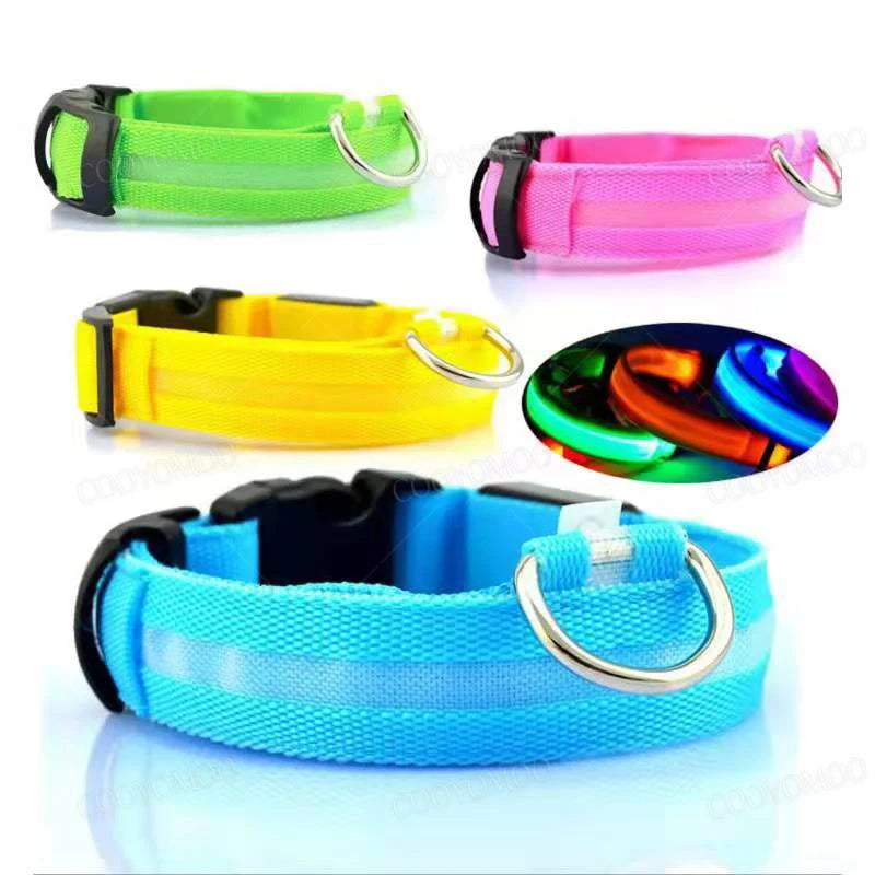 Collier LED Rechargeable USB pour Chien - Visible 500m, 3 Modes, Étanche