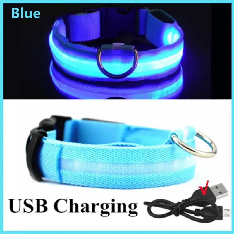 Collier LED Rechargeable USB pour Chien - Visible 500m, 3 Modes, Étanche