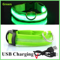 Collier LED Rechargeable USB pour Chien - Visible 500m, 3 Modes, Étanche