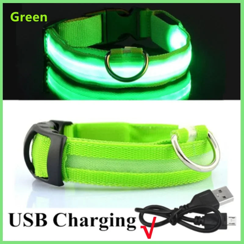 Collier LED Rechargeable USB pour Chien - Visible 500m, 3 Modes, Étanche