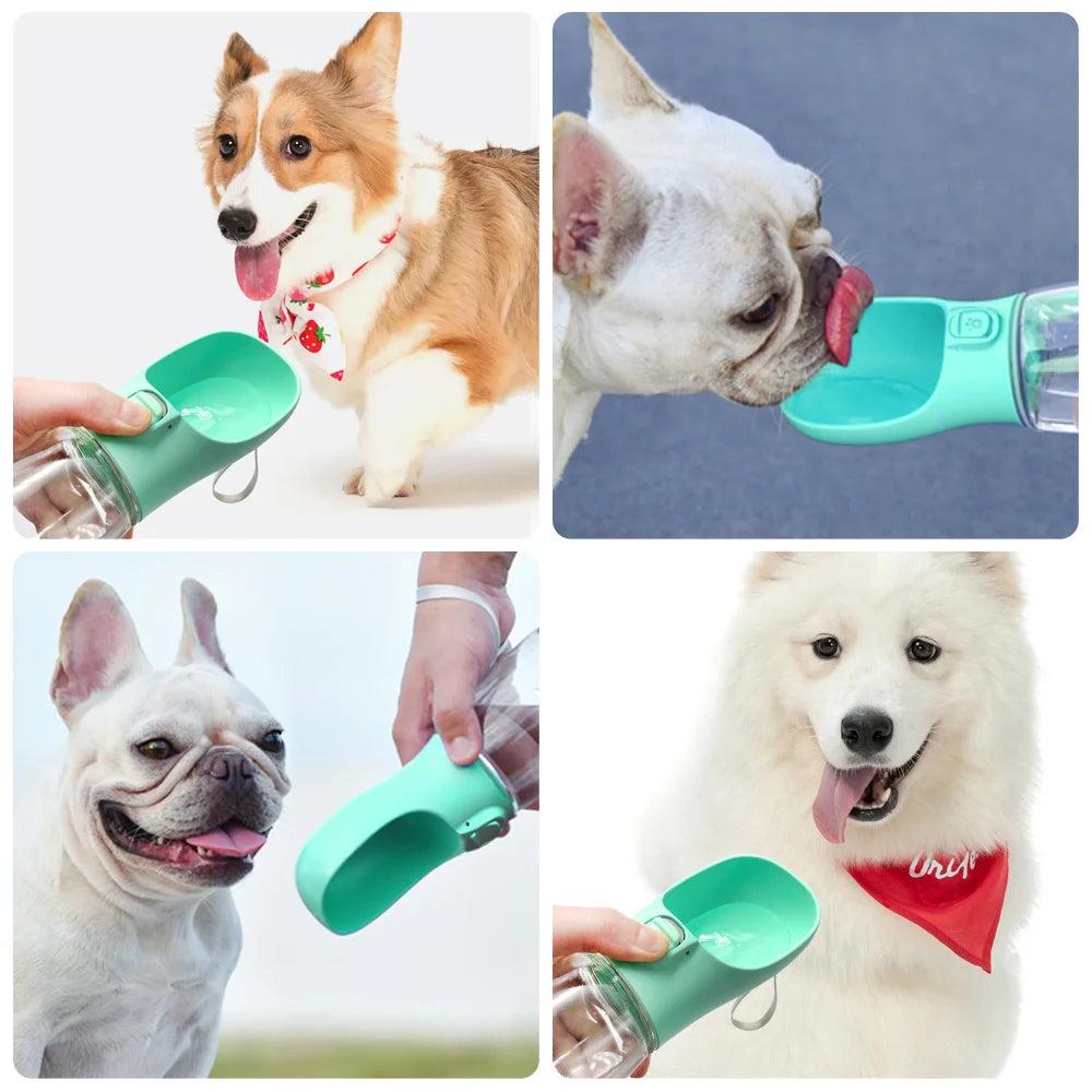 Bouteille d'Eau Portable pour Chien - Abreuvoir 2-en-1 Étanche pour Promenades
