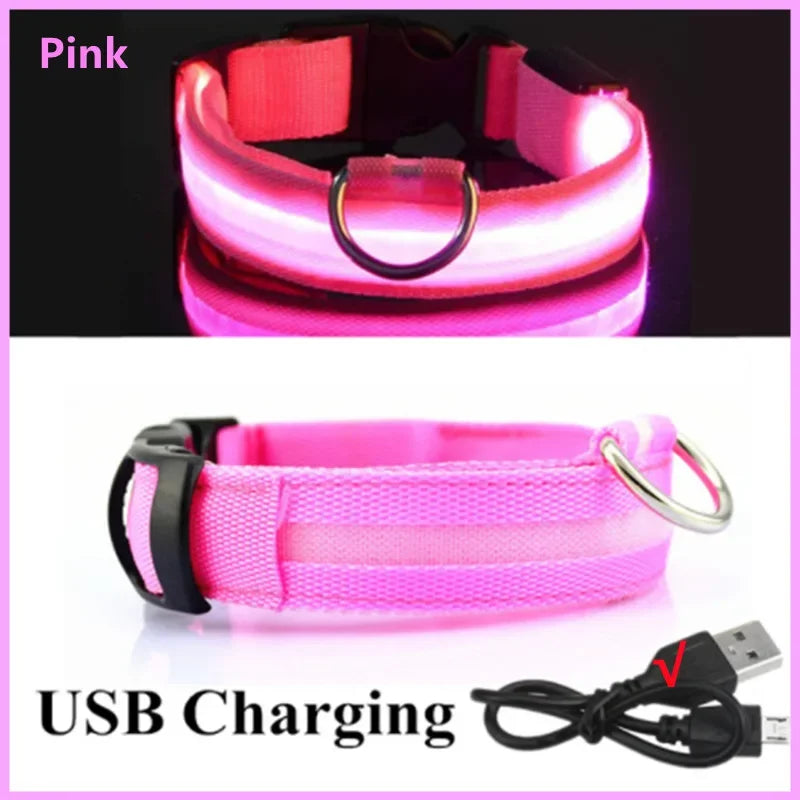 Collier LED Rechargeable USB pour Chien - Visible 500m, 3 Modes, Étanche