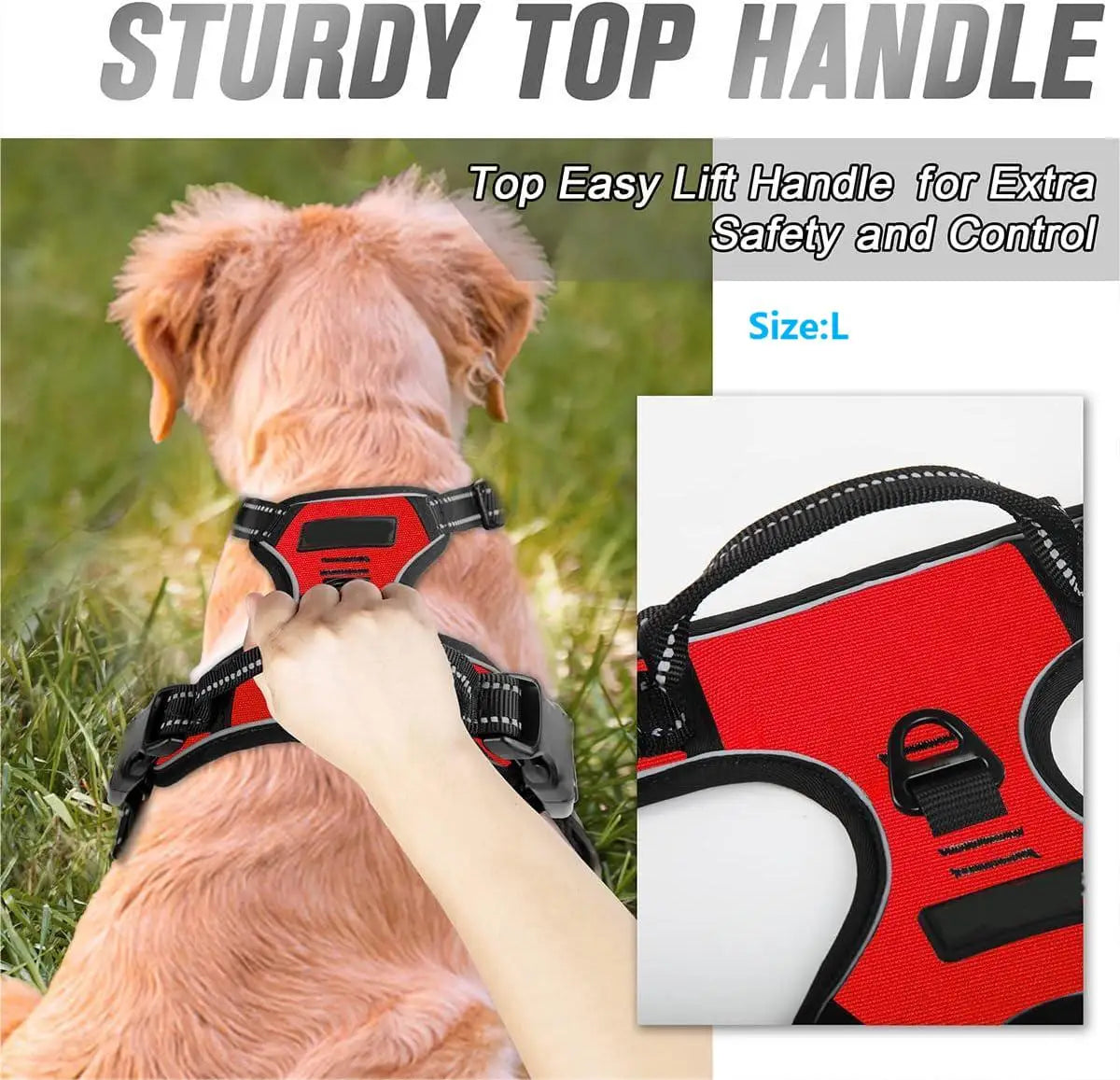 Harnais Anti-Traction Premium - Clip Frontal Réfléchissant pour Grands et Petits Chiens