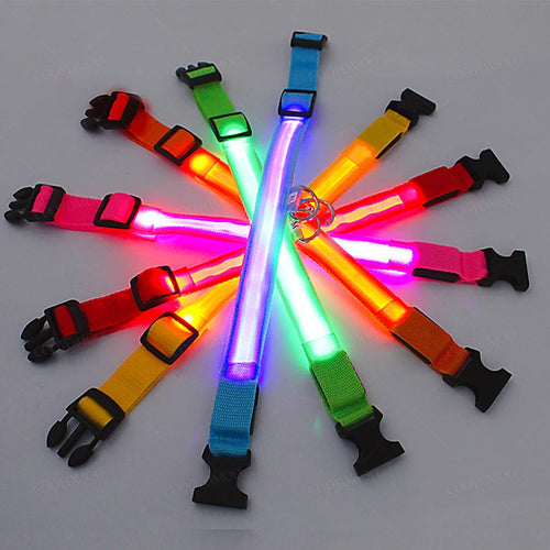 Collier LED Rechargeable USB pour Chien - Visible 500m, 3 Modes, Étanche