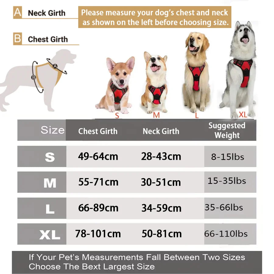 Harnais Anti-Traction Premium - Clip Frontal Réfléchissant pour Grands et Petits Chiens
