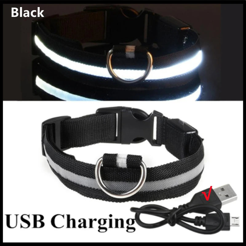 Collier LED Rechargeable USB pour Chien - Visible 500m, 3 Modes, Étanche