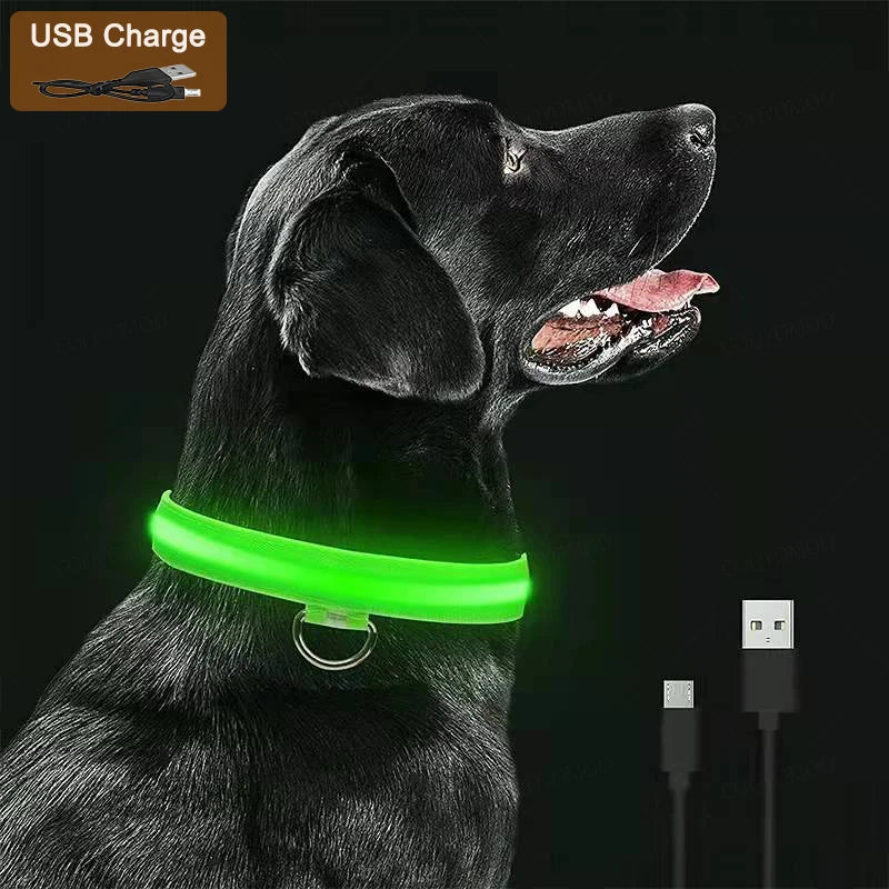 Collier LED Rechargeable USB pour Chien - Visible 500m, 3 Modes, Étanche