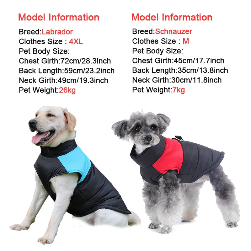 Manteau Imperméable pour Chien - Coupe-Vent Réfléchissant, du XS au XXL