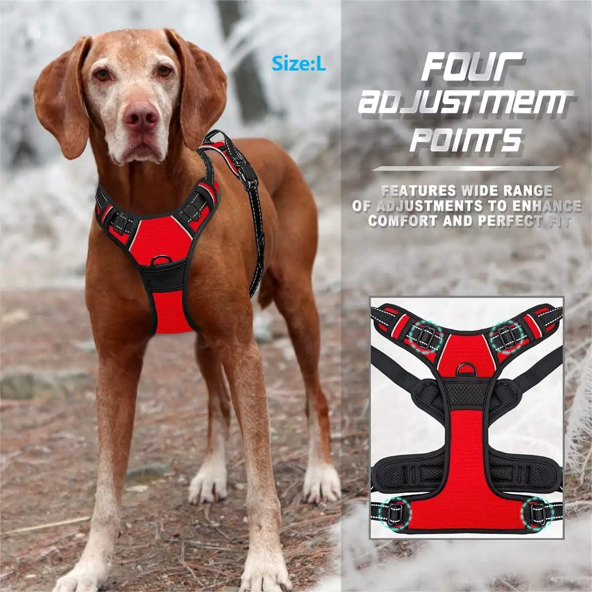 Harnais Anti-Traction Premium - Clip Frontal Réfléchissant pour Grands et Petits Chiens